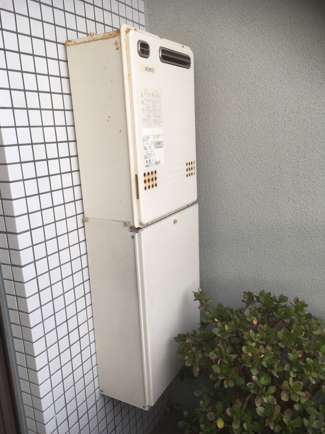 �ɿ��ե��������(�������硼�����َ̎�����)���ع�����ʡ����ʡ���ԡ���