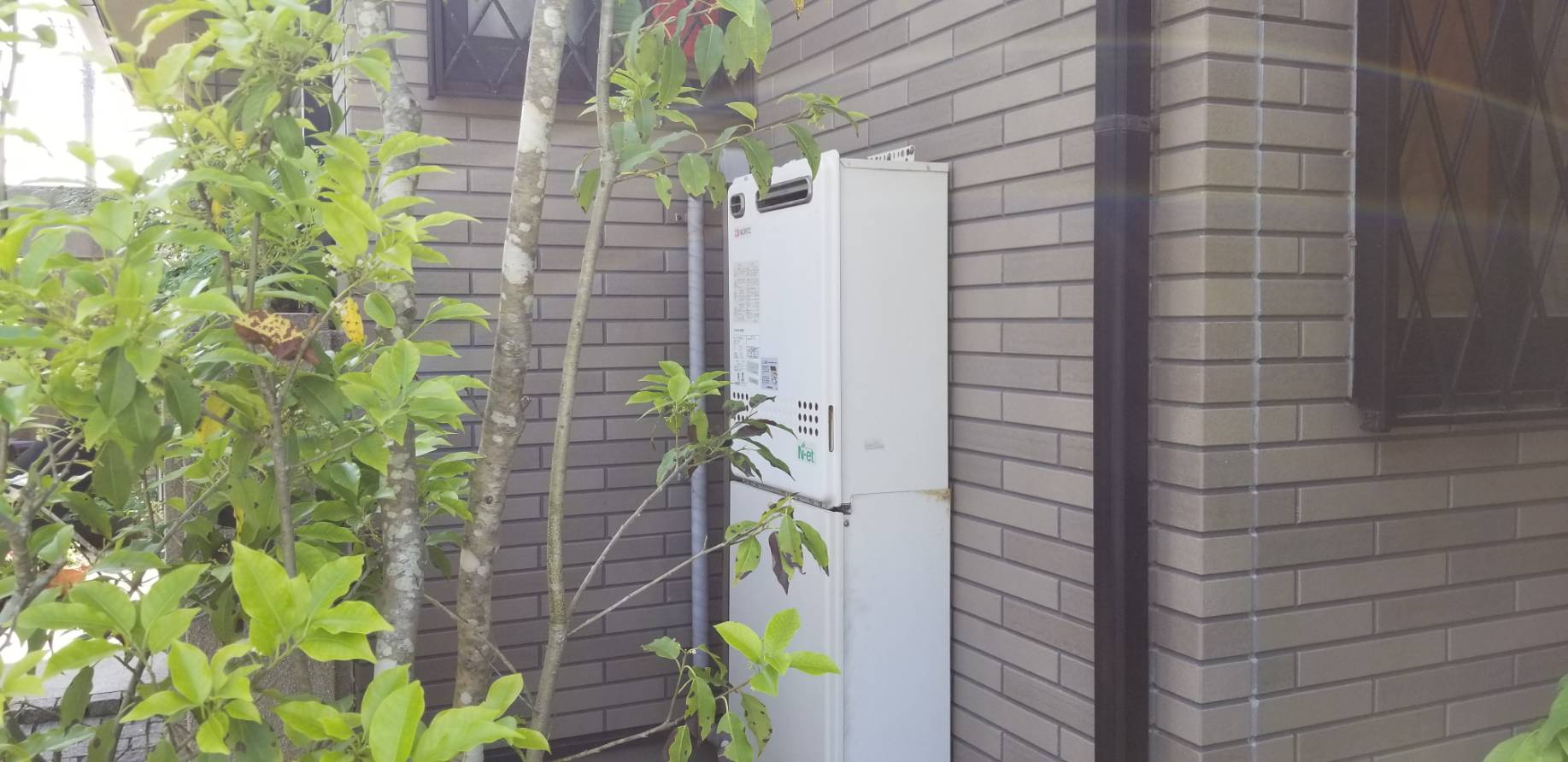 �����������ع��� GT-C2462SAWX BL Ĺ�긩Ĺ���
